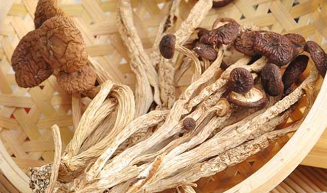 茶树菇多少钱斤