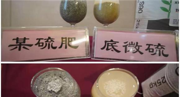 硫肥的作用与使用方法