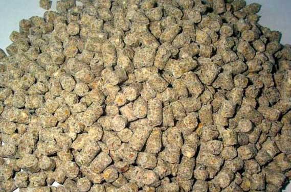 益生菌秸秆饲料对家畜抗病力及环境净化作用