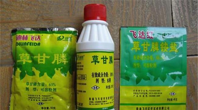 草甘膦除草剂使用范围