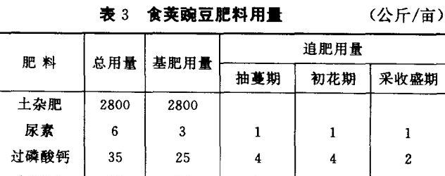 豌豆管理技术