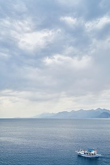 怎样栽培冷水花