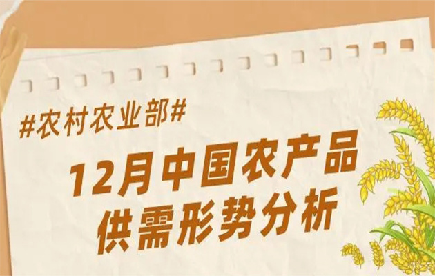 当前我国农产品市场的供求情况及供求特征