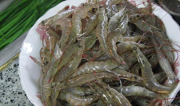 河虾的作用