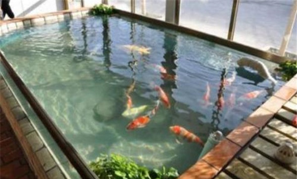 修建鱼池要注意什么