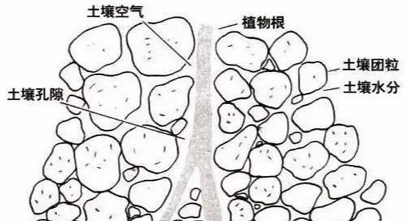 什么是土壤结构