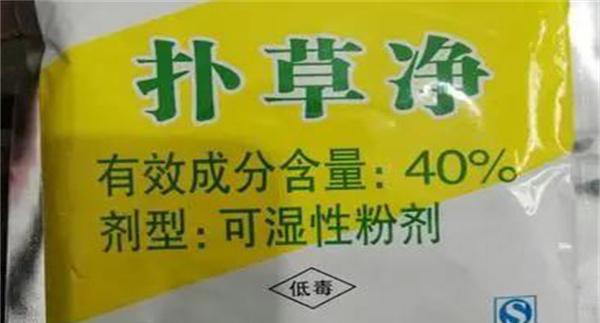 扑草净主要杀什么草?扑草净使用方法与注意事项