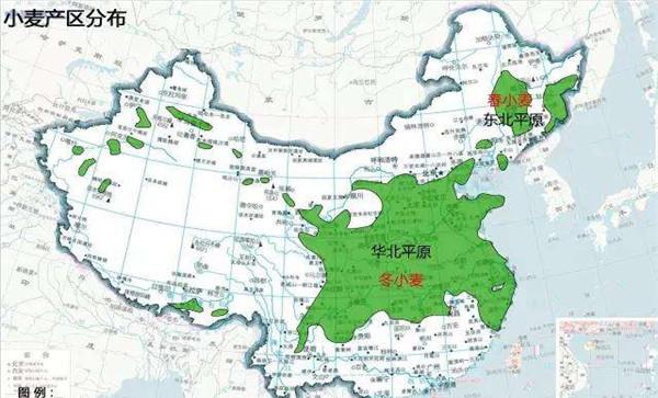 我国春小麦的分布