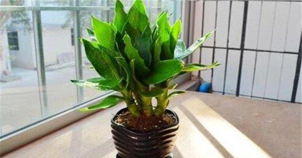 合理施肥