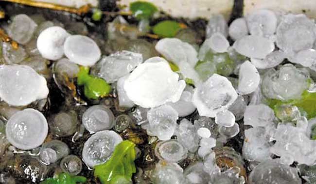生活常识
