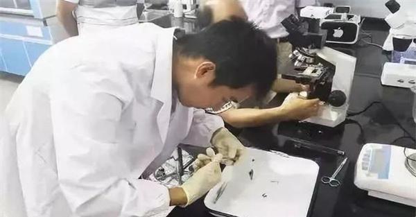 鱼病免疫技术操作程序