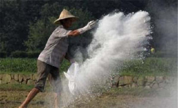 改良酸性土壤用生石灰还是熟石灰