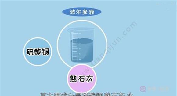 波尔多液的主要成分是什么