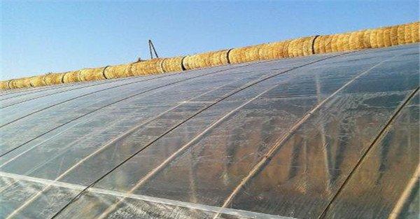 温室要及时加盖覆盖物