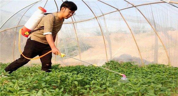 辣椒病害的药剂防治方法