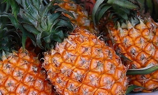菠萝的功效与作用