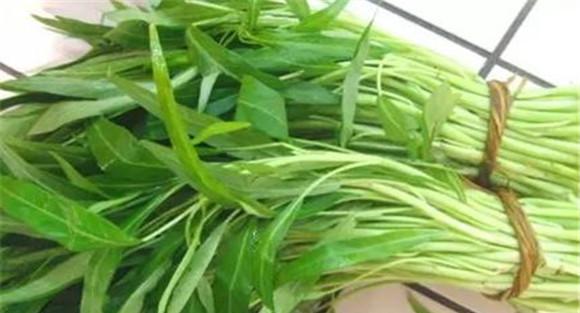 蕹菜的功效