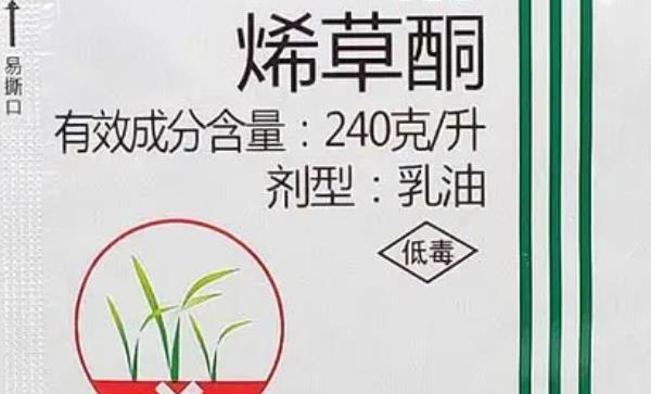 烯草酮除草剂有什么特点