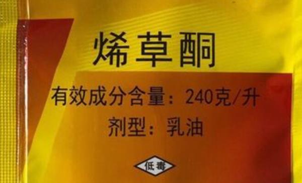 烯草酮除草剂适用哪些作物