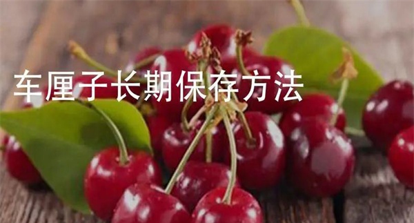樱桃如何储藏