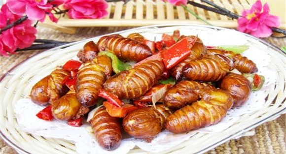 蚕蛹的功效与作用及禁忌