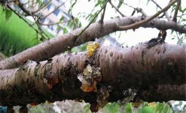 平时要做好以下几点