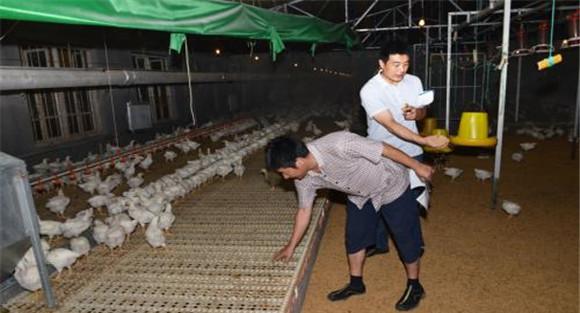 无污染、零排放