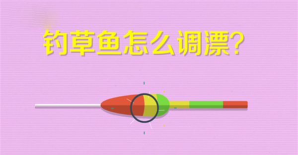 草鱼调漂的正确方法