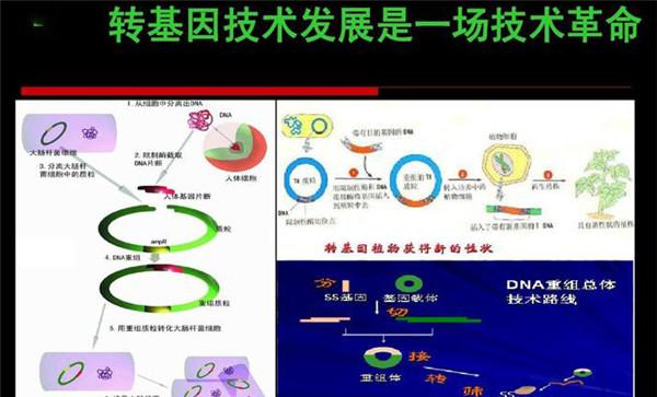 转基因技术的原理是什么