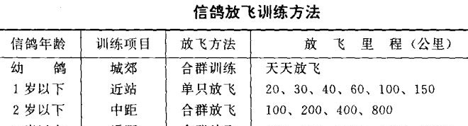 信鸽的饲养与训练