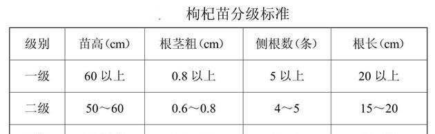 枸杞苗木的起苗