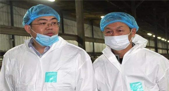 奶牛产后败血症如何治疗