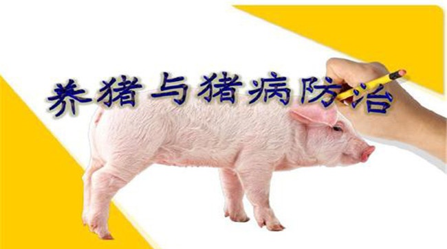养猪与猪病防治与诊断