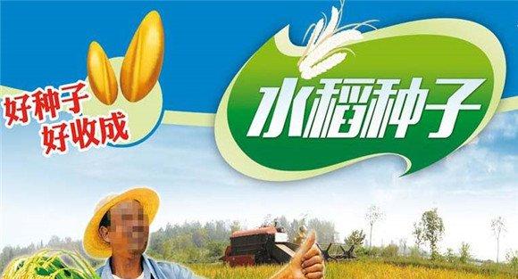 水稻种子质量标准是什么