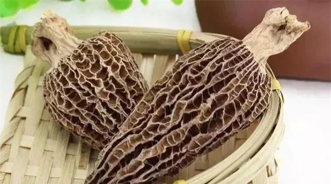 羊肚菌为什么叫羊肚菌