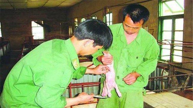 接产操作方法