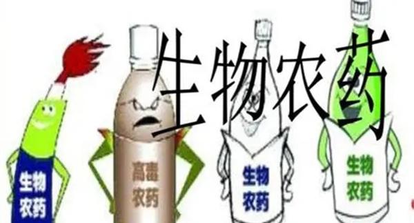 目前可用的生物农药有哪些