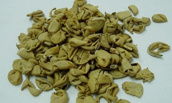 扁豆衣的功效与作用