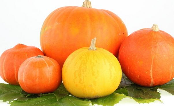 南瓜的食疗作用
