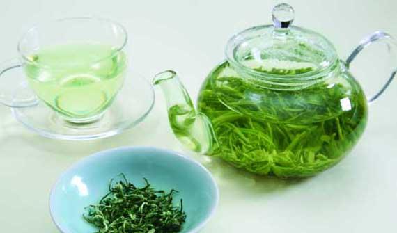 经济作物种植技术