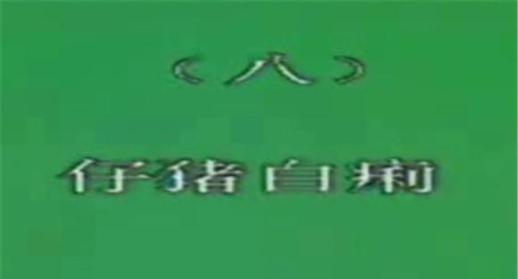仔猪白痢的治疗与预防