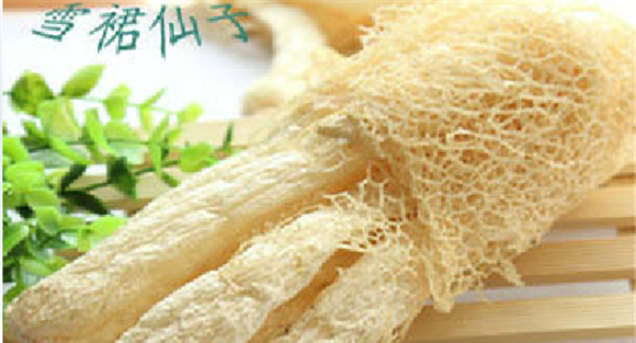 竹荪生产需要什么样的条件