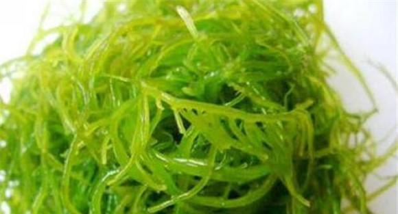 多吃海藻对身体有好处