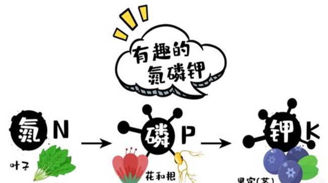 农作物三大营养元素是什么