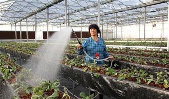 控制好浇水量