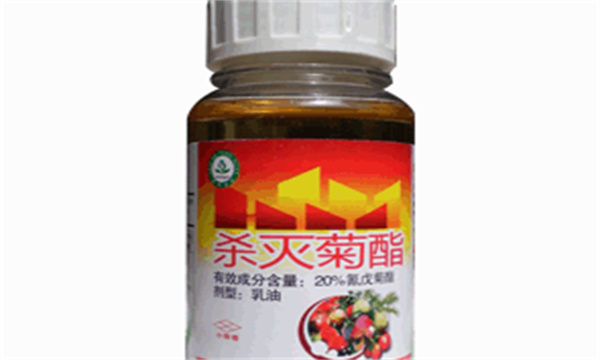 杀灭菊酯对哪些虫有效