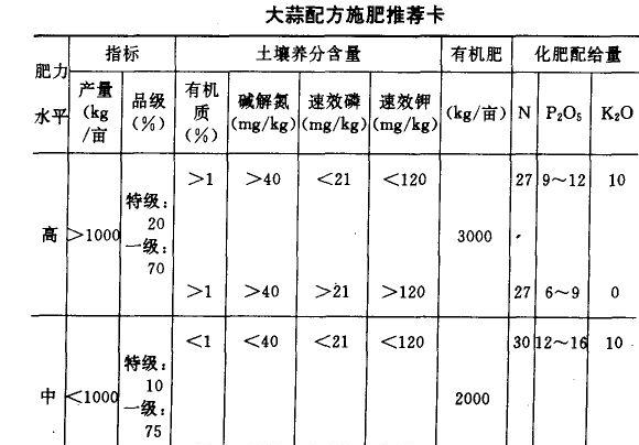 大蒜种植方法