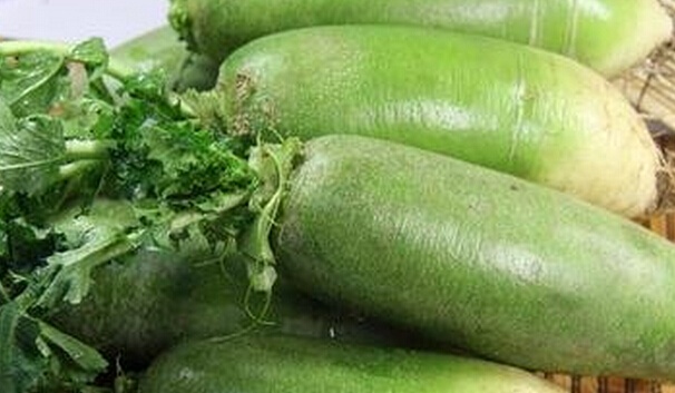 萝卜的功效与作用