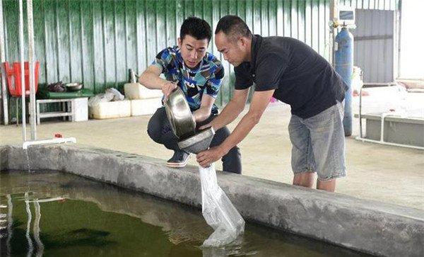 四种生鱼养殖模式简介