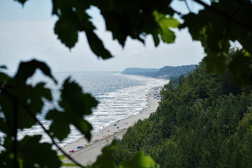 夏播玉米免耕覆盖直播技术